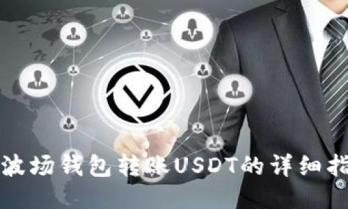 TP波场钱包转账USDT的详细指南