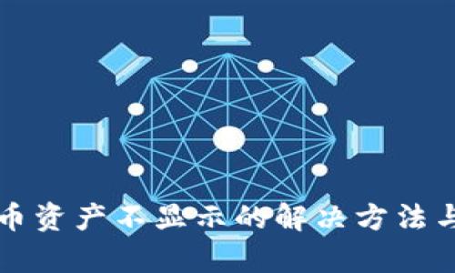 TP钱包代币资产不显示的解决方法与原因解析