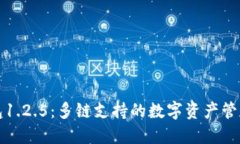 TP钱包1.2.5：多链支持的数字资产管理利器