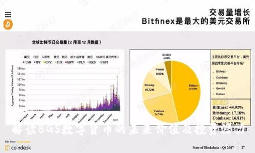 解读BGS数字货币的未来价值及投资潜力