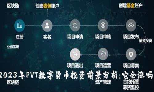 2023年PVT数字货币投资前景分析：它会涨吗？