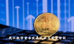 武汉数字货币发展现状与前景分析