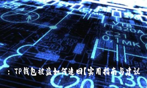: TP钱包被盗如何追回？实用指南与建议