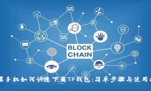 苹果手机如何快速下载TP钱包：简单步骤与使用指南