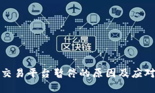 数字货币交易平台暂停的原因及应对策略解析