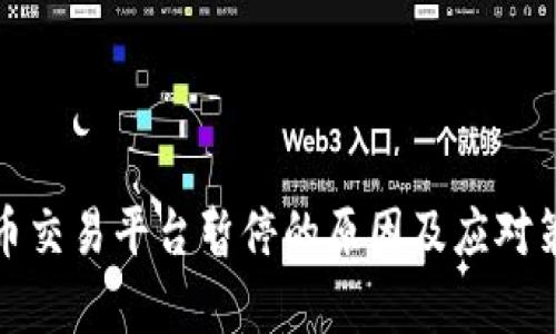 数字货币交易平台暂停的原因及应对策略解析