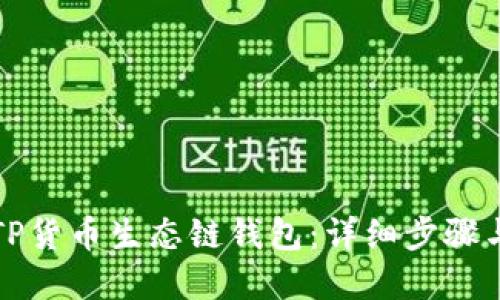 如何创建TP货币生态链钱包：详细步骤与实用技巧