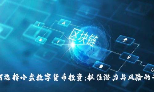 如何选择小盘数字货币投资：抓住潜力与风险的平衡