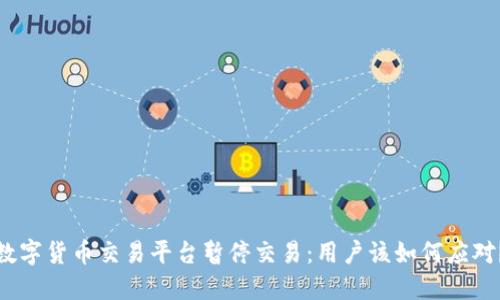 数字货币交易平台暂停交易：用户该如何应对？