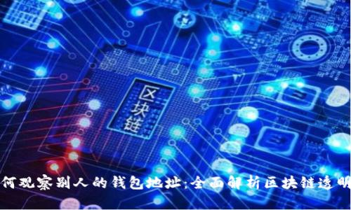 如何观察别人的钱包地址：全面解析区块链透明性