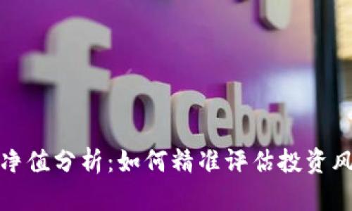 数字货币净值分析：如何精准评估投资风险与收益