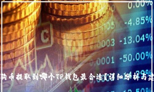 狗狗币提取到哪个TP钱包最合适？详细分析与建议