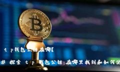## t p钱包公链在哪？### 探索 t p 钱包公链：在哪