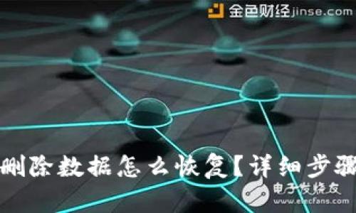 TP钱包删除数据怎么恢复？详细步骤与技巧