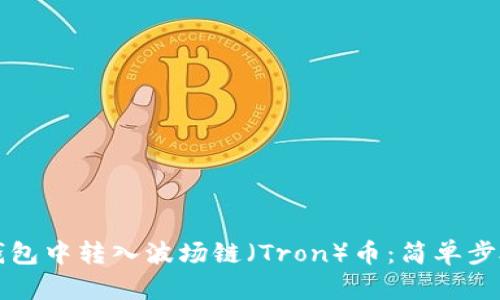 如何在TP钱包中转入波场链（Tron）币：简单步骤与小技巧