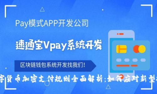 2023年数字货币加密支付规则全面解析：如何应对新型挑战与机遇