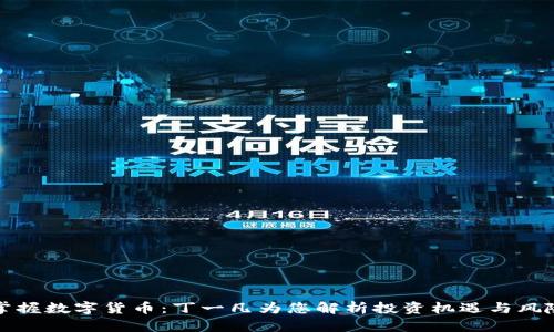掌握数字货币：丁一凡为您解析投资机遇与风险