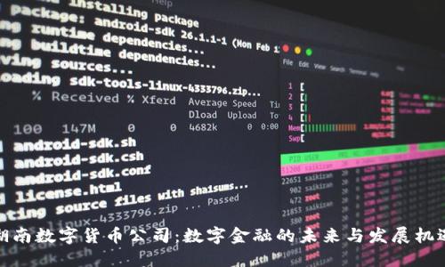 湖南数字货币公司：数字金融的未来与发展机遇