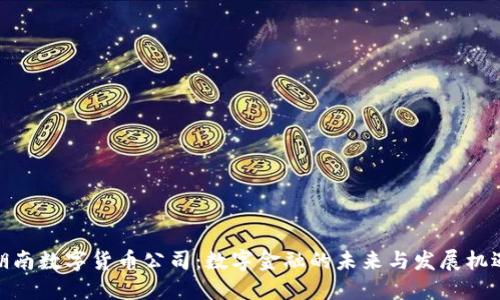 湖南数字货币公司：数字金融的未来与发展机遇