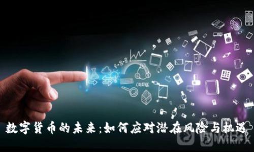 数字货币的未来：如何应对潜在风险与机遇