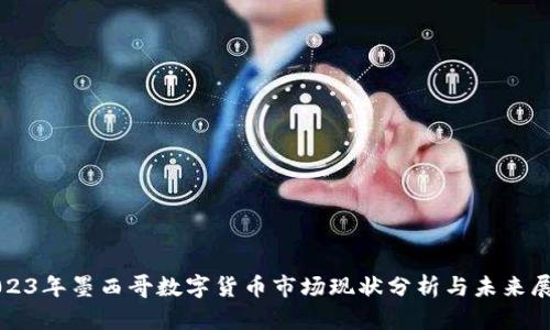 2023年墨西哥数字货币市场现状分析与未来展望