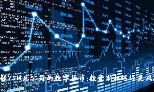 了解YSM总公司的数字货币：投资新机遇还是风险？