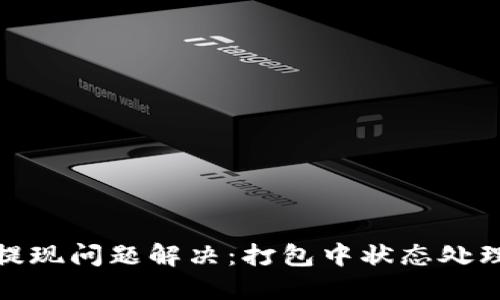TP钱包提现问题解决：打包中状态处理全攻略