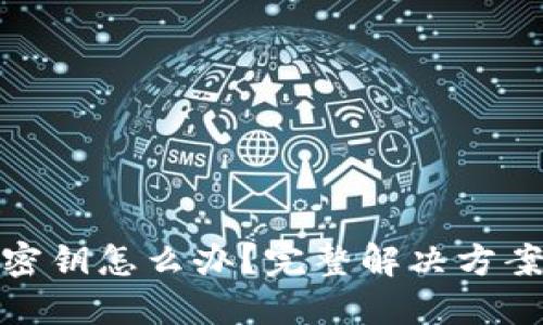 TP钱包忘记密钥怎么办？完整解决方案及预防措施