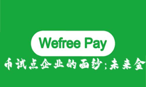 揭开中国数字货币试点企业的面纱：未来金融的探索和挑战