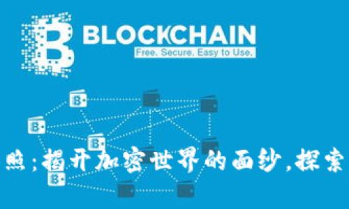 数字货币集体照：揭开加密世界的面纱，探索未来数字经济