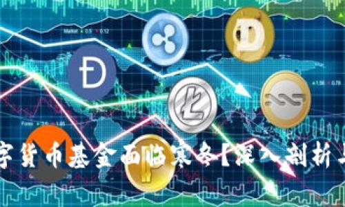 为什么数字货币基金面临寒冬？深入剖析与应对策略