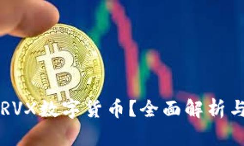 如何安全投资RVX数字货币？全面解析与用户痛点解决
