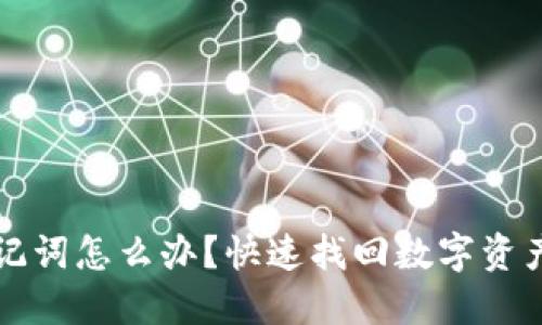 钱包忘记助记词怎么办？快速找回数字资产的实用指南