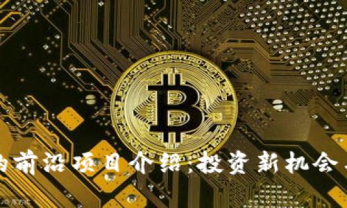 TP钱包上的前沿项目介绍：投资新机会与风险分析