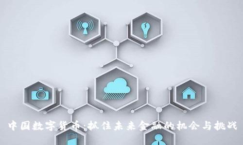 中国数字货币：抓住未来金融的机会与挑战
