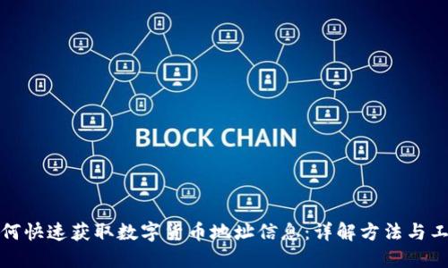 如何快速获取数字货币地址信息：详解方法与工具