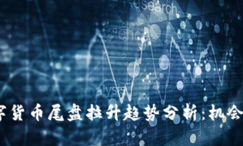 2023年数字货币尾盘拉升趋势分析：机会与挑战并存