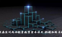 如何在苏州成功投资数字货币项目：把握机遇与