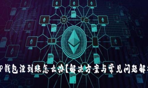 TP钱包没到账怎么办？解决方案与常见问题解析