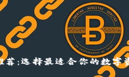 TP IM钱包推荐：选择最适合你的数字资产管理工具