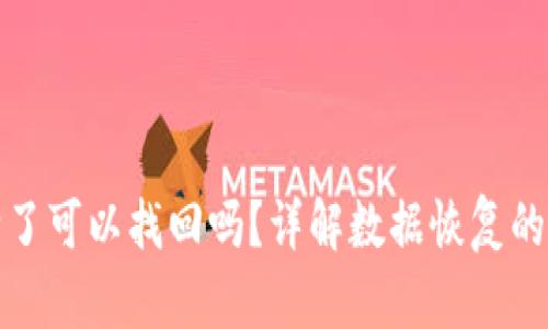 TP钱包删除了可以找回吗？详解数据恢复的方法与技巧