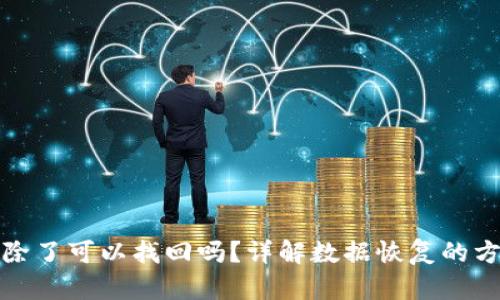 TP钱包删除了可以找回吗？详解数据恢复的方法与技巧