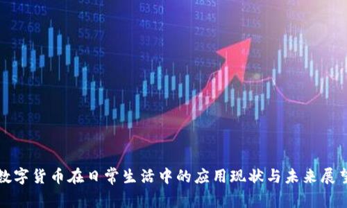 数字货币在日常生活中的应用现状与未来展望