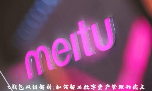 
t钱包双链解析：如何解决数字资产管理的痛点