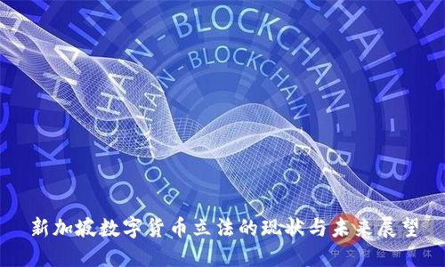 新加坡数字货币立法的现状与未来展望