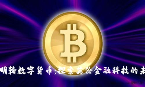 伯明翰数字货币：探索英伦金融科技的未来