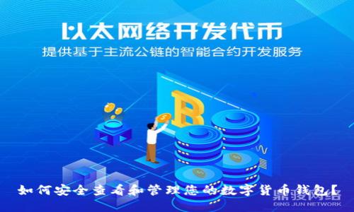 如何安全查看和管理您的数字货币钱包？