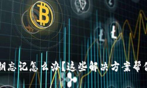 TP钱包密钥忘记怎么办？这些解决方案帮你找回资产