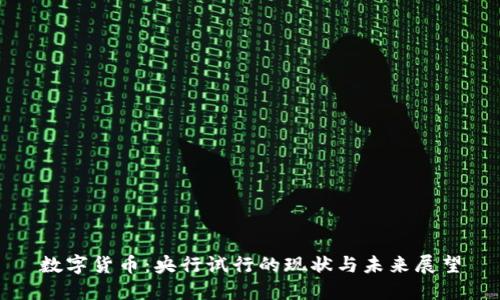 数字货币：央行试行的现状与未来展望