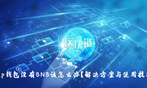 t.p钱包没有BNB该怎么办？解决方案与使用技巧